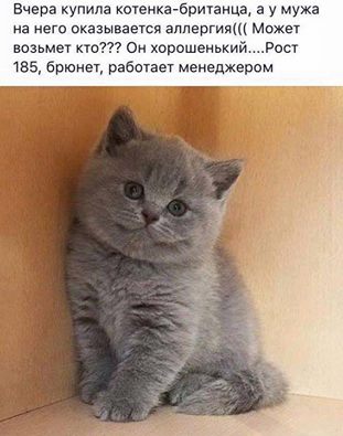 Прикольные картинки выходного дня (62 шт) Прикольные картинки выходного дня (62 шт)