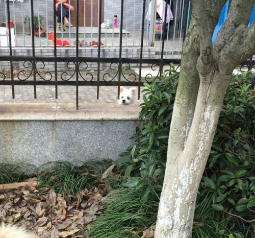 Знакомство с неожиданным продолжением (3 фото) Знакомство с неожиданным продолжением (3 фото)