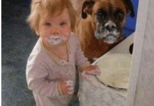 Забавные собаки, копирующие детей (10 фото) Забавные собаки, копирующие детей (10 фото)