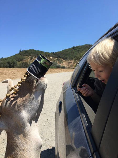 Забавные стоп-кадры (13 фото) Забавные стоп-кадры (13 фото)