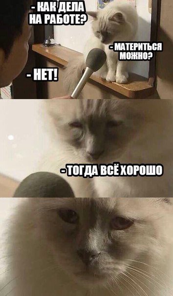 Свежий сборник прикольных фотомемов (24 фото) Свежий сборник прикольных фотомемов (24 фото)