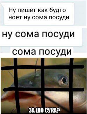 Прикольные картинки в конце недели (54 шт) Прикольные картинки в конце недели (54 шт)