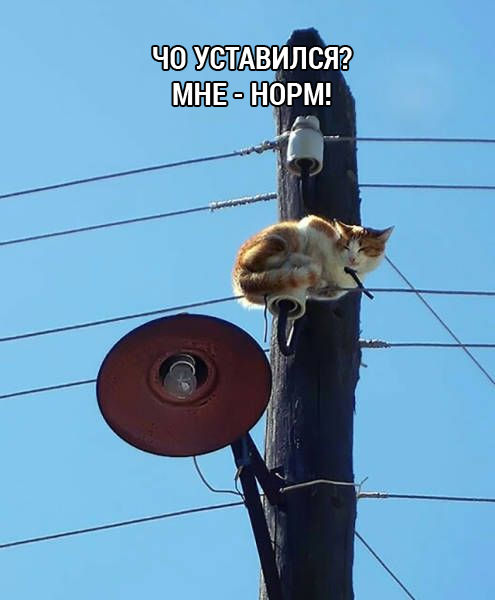 Прикольные картинки в конце недели (54 шт) Прикольные картинки в конце недели (54 шт)