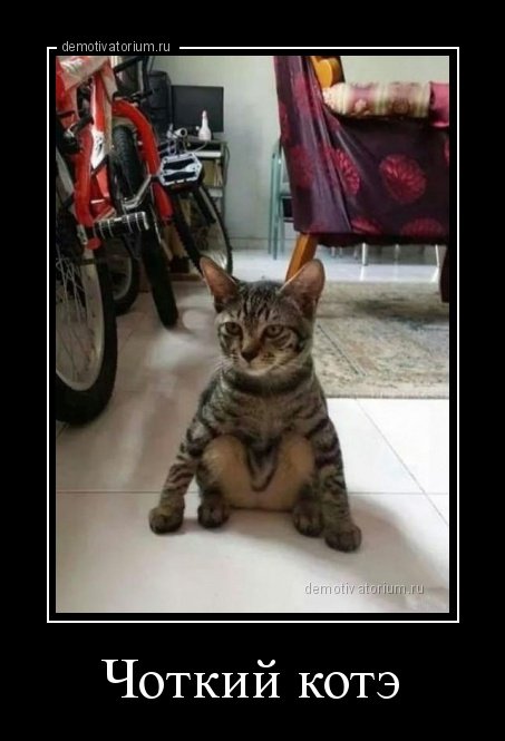 Свежий сборник демотиваторов (17 шт) Свежий сборник демотиваторов (17 шт)