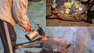 Оригинальные и красивые калитки и ворота (25 фото) Оригинальные и красивые калитки и ворота (25 фото)