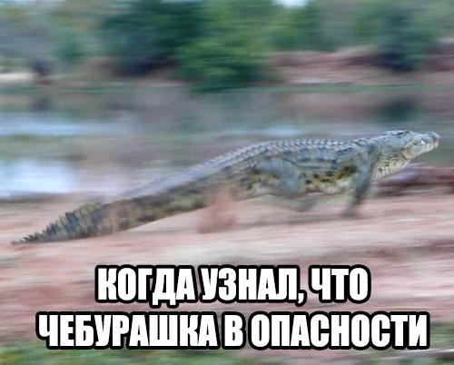 Прикольные и просто забавные фото (45 шт) Прикольные и просто забавные фото (45 шт)