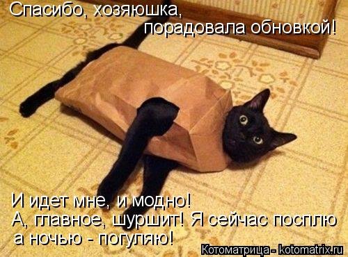 Котоматрица новая и прикольная (37 фото) Котоматрица новая и прикольная (37 фото)