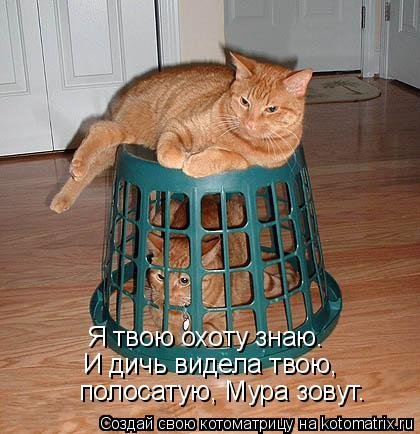 Котоматрица новая и прикольная (37 фото) Котоматрица новая и прикольная (37 фото)