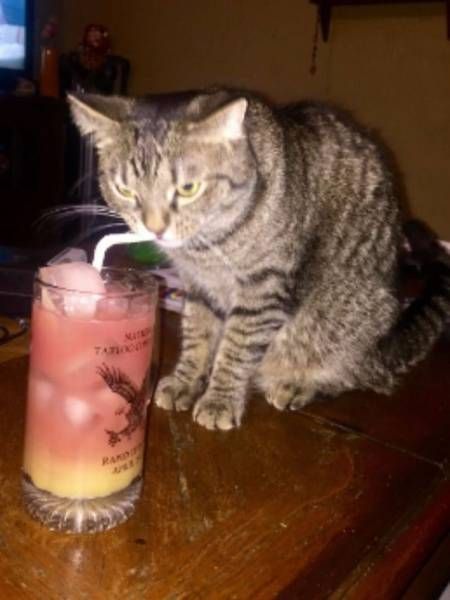 Прикольные картинки от серых будней (49 шт) Прикольные картинки от серых будней (49 шт)