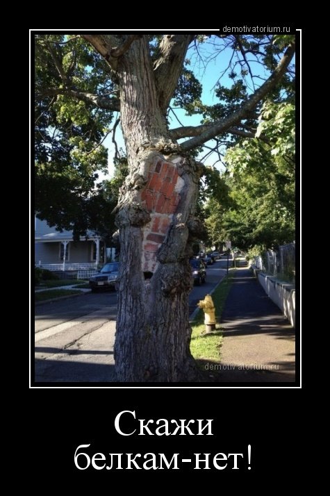 Новые демотиваторы-приколы (21 шт) Новые демотиваторы-приколы (21 шт)