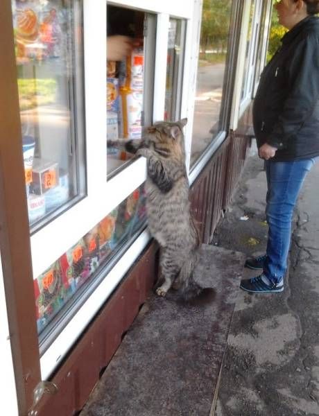 Прикольные картинки поздним вечером (40 шт) Прикольные картинки поздним вечером (40 шт)