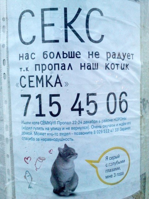 Смешные вывески, объявления и реклама (34 фото) Смешные вывески, объявления и реклама (34 фото)