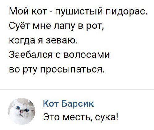 Прикольные комментарии и СМС-ки (21 фото) Прикольные комментарии и СМС-ки (21 фото)