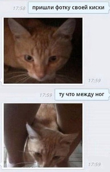 Прикольные комментарии и СМС-ки (21 фото) Прикольные комментарии и СМС-ки (21 фото)