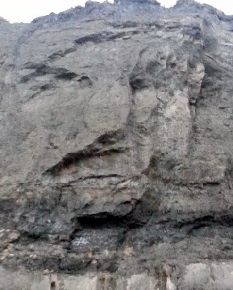 Прикольные картинки для людей с богатой фантазией (22 шт) Прикольные картинки для людей с богатой фантазией (22 шт)