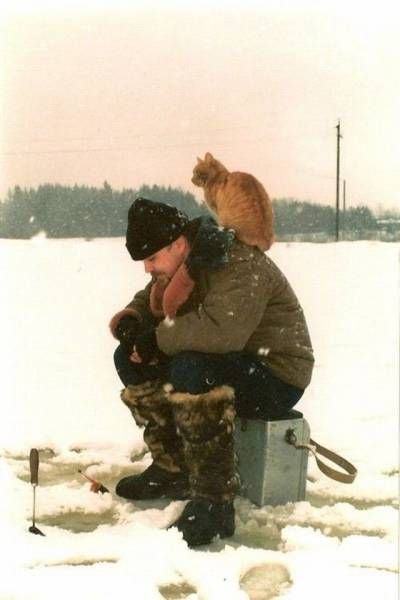 Вечерние картинки и приколы (30 шт) Вечерние картинки и приколы (30 шт)