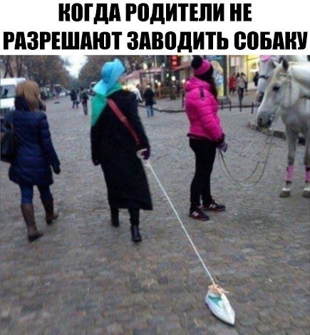 Прикольные фотомемы на Бугаге (23 шт) Прикольные фотомемы на Бугаге (23 шт)