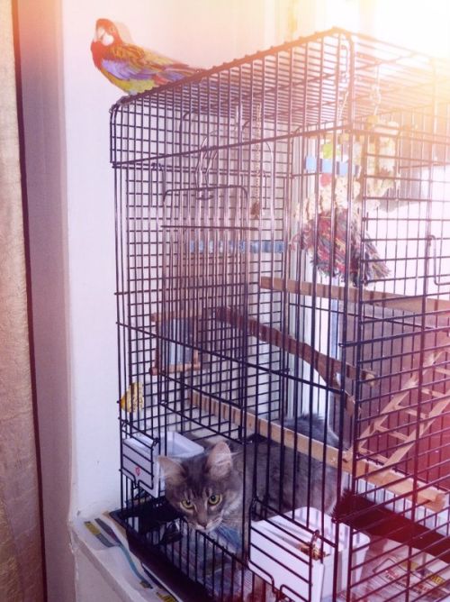 Большая подборка позитива в картинках и фото (63 шт) Большая подборка позитива в картинках и фото (63 шт)