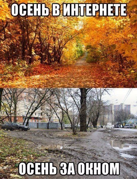 Большая подборка позитива в картинках и фото (63 шт) Большая подборка позитива в картинках и фото (63 шт)