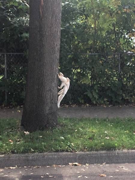 Большая подборка позитива в картинках и фото (63 шт) Большая подборка позитива в картинках и фото (63 шт)