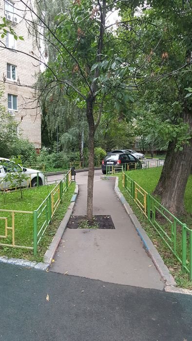 Дорожно-строительные ляпы и маразмы (12 фото) Дорожно-строительные ляпы и маразмы (12 фото)