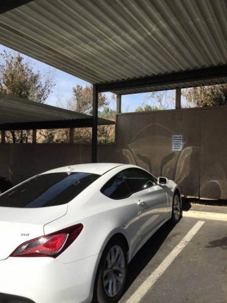 Прикольные стоп-кадры (27 фото) Прикольные стоп-кадры (27 фото)