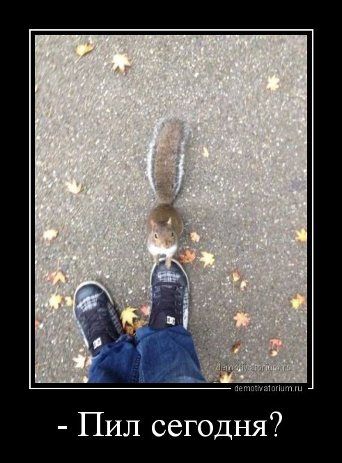 Новые демотиваторы (17 шт) Новые демотиваторы (17 шт)