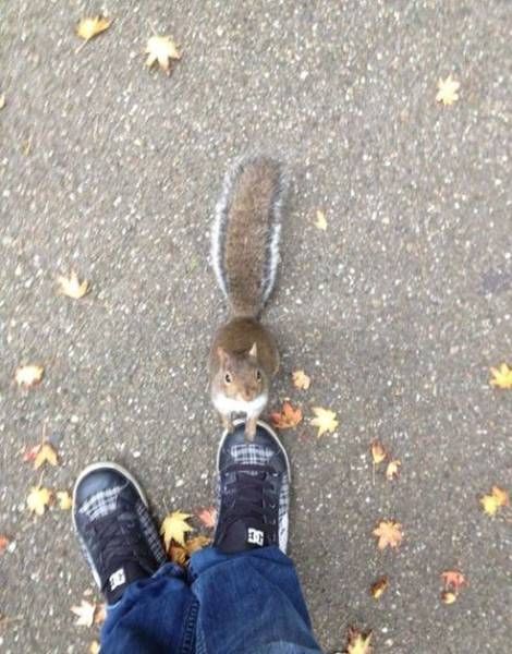 Прикольные картинки для всех (43 шт) Прикольные картинки для всех (43 шт)