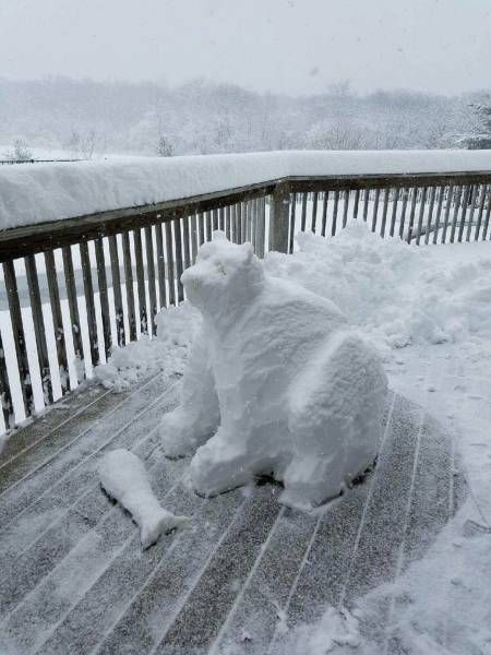 Прикольные картинки для всех (43 шт) Прикольные картинки для всех (43 шт)