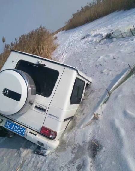 Прикольные картинки для всех (43 шт) Прикольные картинки для всех (43 шт)