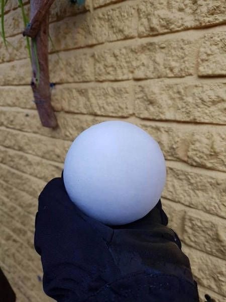 Тем временем в Канаде (19 фото) Тем временем в Канаде (19 фото)