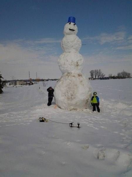 Тем временем в Канаде (19 фото) Тем временем в Канаде (19 фото)