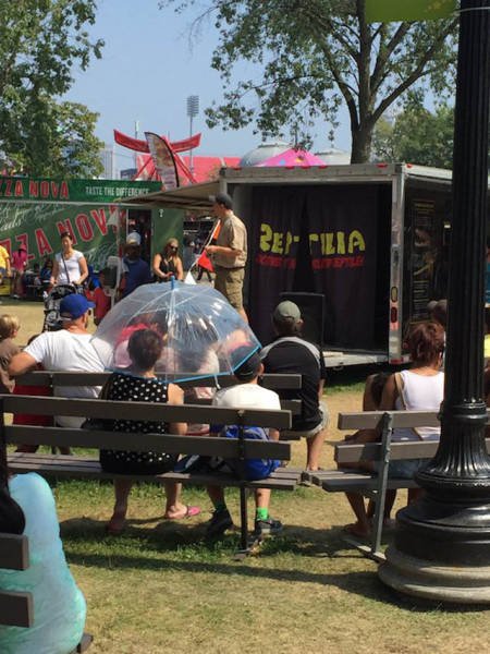 Почти получилось! (34 фото) Почти получилось! (34 фото)