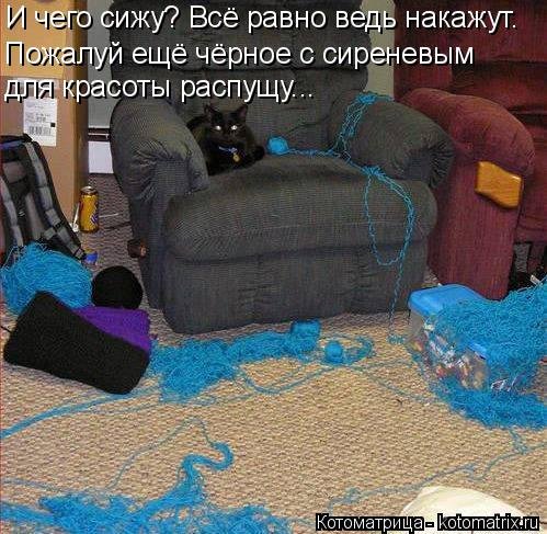 Новая отличная котоматрица (38 фото) Новая отличная котоматрица (38 фото)