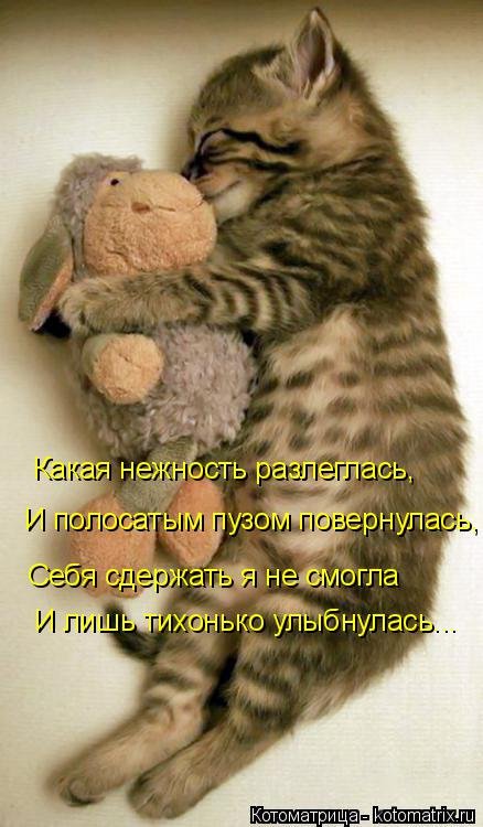 Новая отличная котоматрица (38 фото) Новая отличная котоматрица (38 фото)