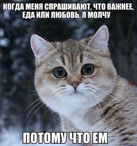 Прикольные фотомемы для всех и для каждого (29 шт) Прикольные фотомемы для всех и для каждого (29 шт)