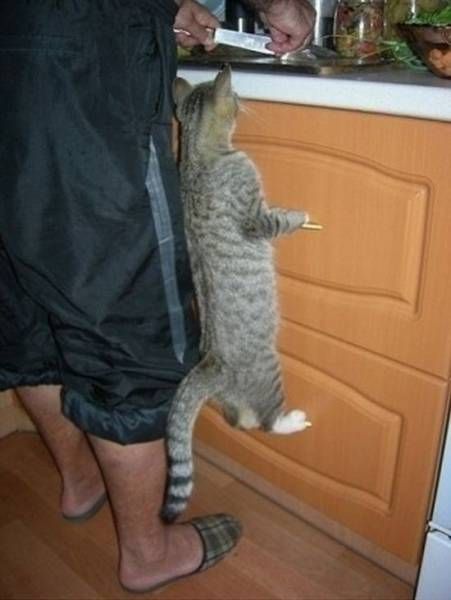 Ночные прикольные картинки (30 шт) Ночные прикольные картинки (30 шт)