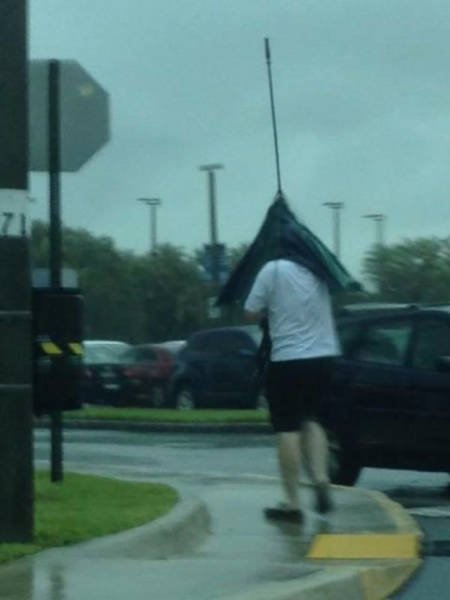 Неудачный день в картинках (17 фото) Неудачный день в картинках (17 фото)