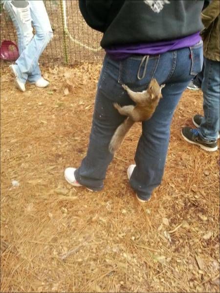 Прикольные картинки перед сном (44 шт) Прикольные картинки перед сном (44 шт)