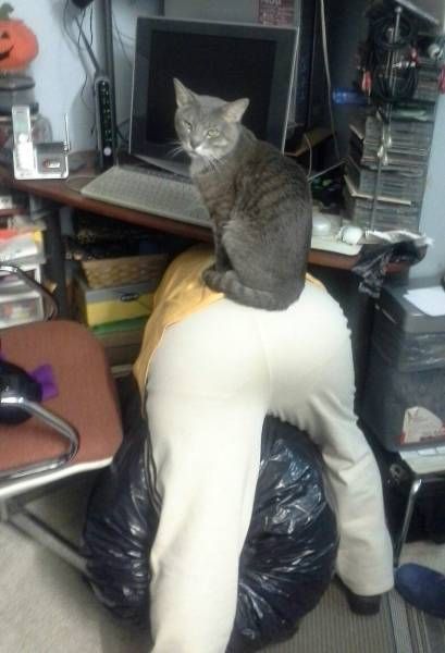 Прикольные картинки перед сном (44 шт) Прикольные картинки перед сном (44 шт)