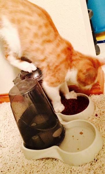 Прикольные картинки перед сном (44 шт) Прикольные картинки перед сном (44 шт)