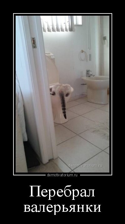 Сборник демотиваторов на любой вкус (15 шт) Сборник демотиваторов на любой вкус (15 шт)