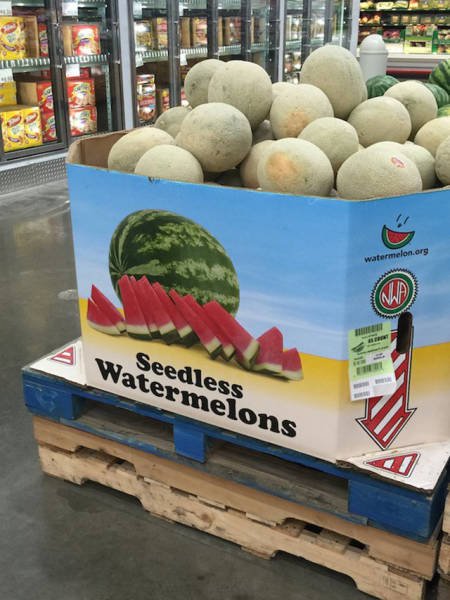 Почти получилось (23 фото) Почти получилось (23 фото)