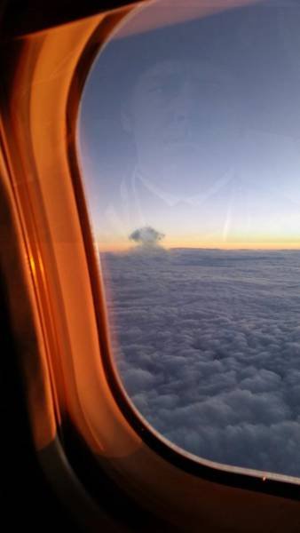 Оказалось, показалось (20 фото) Оказалось, показалось (20 фото)