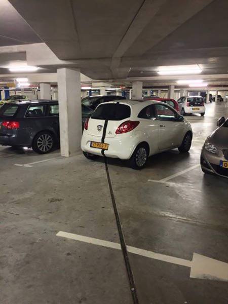 Оказалось, показалось (20 фото) Оказалось, показалось (20 фото)