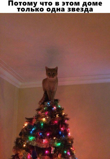 Прикольные фотомемы на Бугаге (29 шт) Прикольные фотомемы на Бугаге (29 шт)