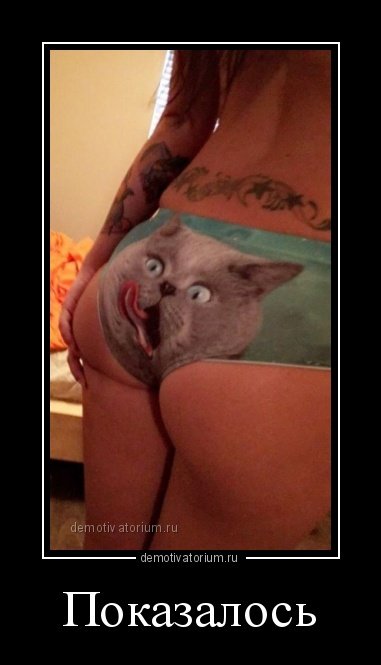 Демотиваторы с горячими красотками (31 шт) Демотиваторы с горячими красотками (31 шт)