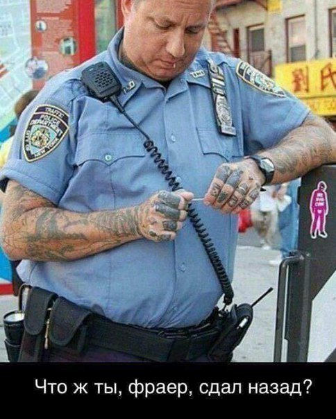 Новогодние фотомемы (32 шт) Новогодние фотомемы (32 шт)