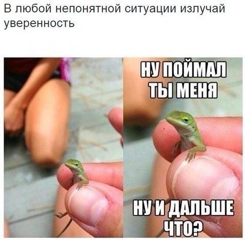 Новогодние фотомемы (32 шт) Новогодние фотомемы (32 шт)