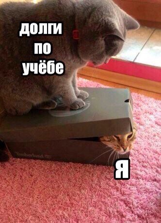 Новые прикольные фотомемы (28 шт) Новые прикольные фотомемы (28 шт)